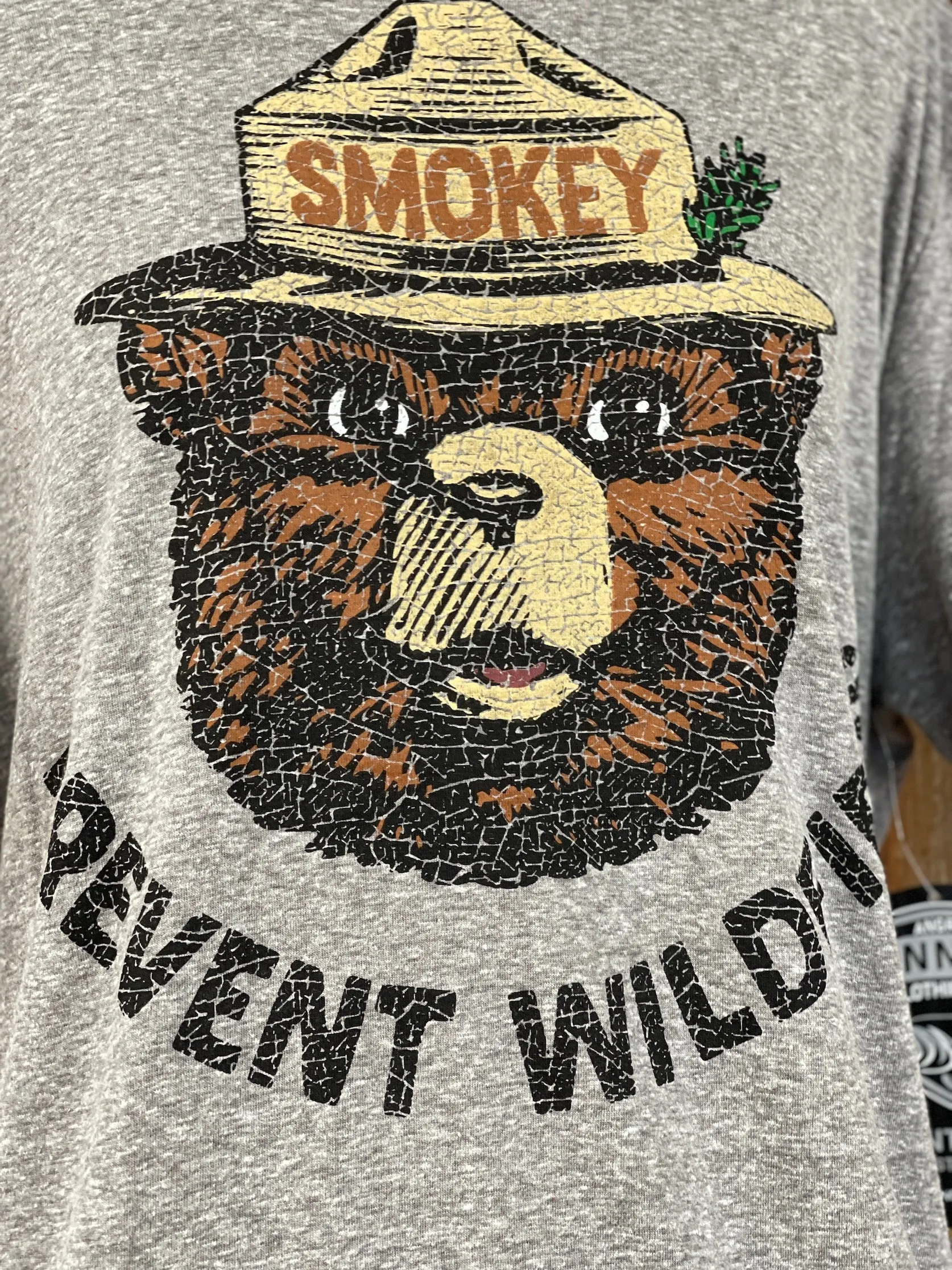 Smokey Bear PREVENT WILDFIRES Graphic Tee- Grey